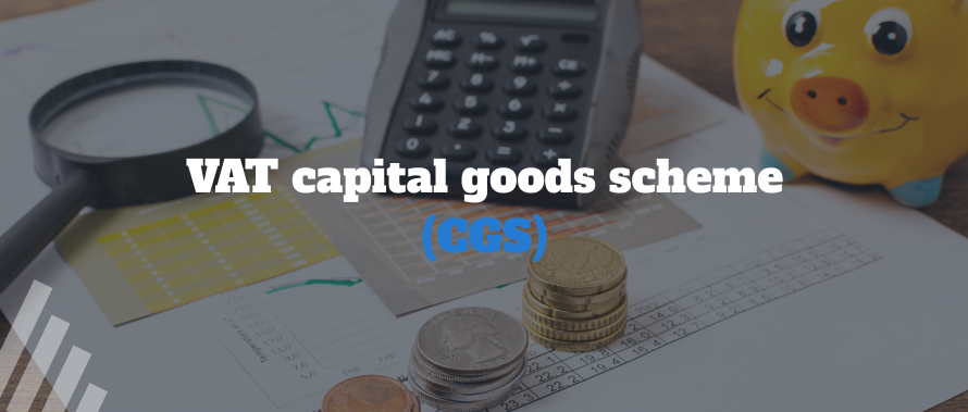 VAT Capital Goods Scheme (CGS)
